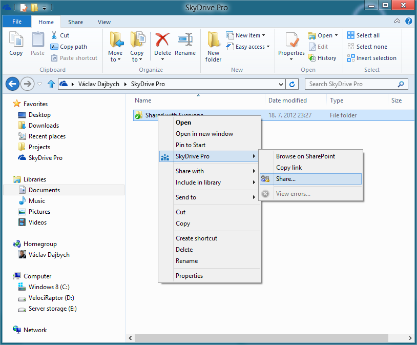 SkyDrive Pro